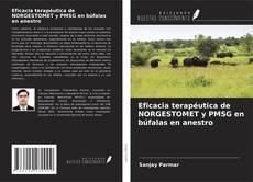 Buchcover von Eficacia terapéutica de NORGESTOMET y PMSG en búfalas en anestro