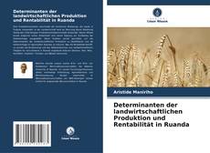 Copertina di Determinanten der landwirtschaftlichen Produktion und Rentabilität in Ruanda