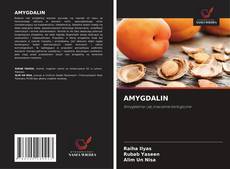 Buchcover von AMYGDALIN