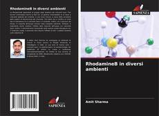 Buchcover von RhodamineB in diversi ambienti