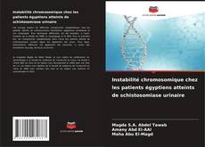 Copertina di Instabilité chromosomique chez les patients égyptiens atteints de schistosomiase urinaire