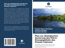 Plan zur ökologischen Sanierung des Mikro-Einzugsgebiets des Flusses Capivara的封面