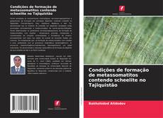 Condições de formação de metassomatitos contendo scheelite no Tajiquistão的封面