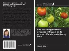 Capa do livro de Los microorganismos eficaces influyen en la producción de hortalizas y soja 
