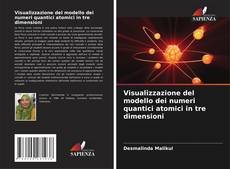 Visualizzazione del modello dei numeri quantici atomici in tre dimensioni的封面
