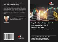 Copertina di Impatto dei microcrediti nel mercato delle pulci di Ocotlán, Oaxaca