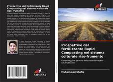 Prospettive del fertilizzante Rapid Composting nel sistema colturale riso-frumento kitap kapağı