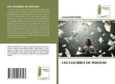 Buchcover von LES COURBES DE NDOUDI