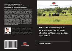 Copertina di Efficacité thérapeutique du NORGESTOMET et du PMSG chez les bufflonnes en période d'anœstrus