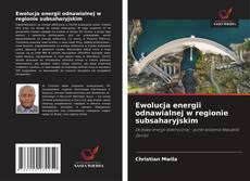 Copertina di Ewolucja energii odnawialnej w regionie subsaharyjskim