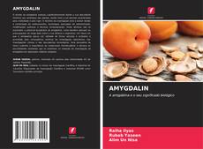 Обложка AMYGDALIN