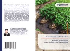 Bookcover of Resilient Waterscapes