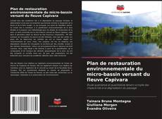 Bookcover of Plan de restauration environnementale du micro-bassin versant du fleuve Capivara