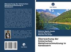 Überwachung der historischen Metallverschmutzung in Gewässern的封面