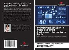 Copertina di Promoting innovation in micro and small businesses - the reality in Bahia