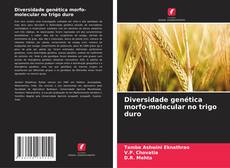Borítókép a  Diversidade genética morfo-molecular no trigo duro - hoz