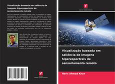 Visualização baseada em saliência de imagens hiperespectrais de sensoriamento remoto的封面