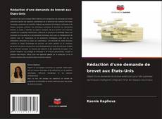 Rédaction d'une demande de brevet aux États-Unis kitap kapağı