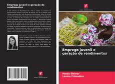 Couverture de Emprego juvenil e geração de rendimentos