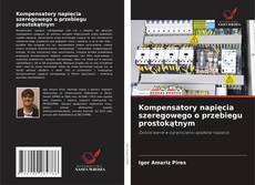 Bookcover of Kompensatory napięcia szeregowego o przebiegu prostokątnym