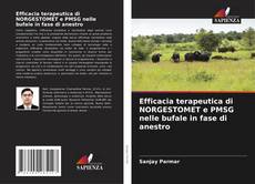 Buchcover von Efficacia terapeutica di NORGESTOMET e PMSG nelle bufale in fase di anestro