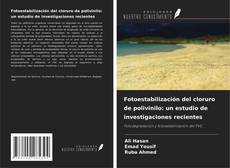 Bookcover of Fotoestabilización del cloruro de polivinilo: un estudio de investigaciones recientes