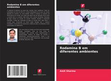 Rodamina B em diferentes ambientes的封面