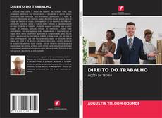 Borítókép a  DIREITO DO TRABALHO - hoz
