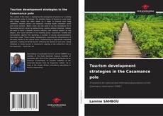 Bookcover of Tourism development strategies in the Casamance pole