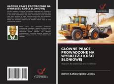GŁÓWNE PRACE PROWADZONE NA WYBRZEŻU KOŚCI SŁONIOWEJ的封面