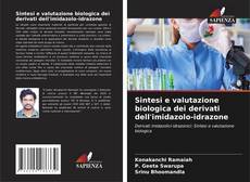 Обложка Sintesi e valutazione biologica dei derivati dell'imidazolo-idrazone