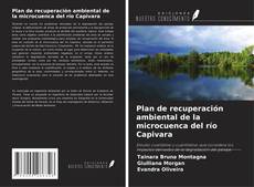 Copertina di Plan de recuperación ambiental de la microcuenca del río Capivara