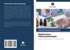 Bookcover of Molekulare Pflanzenbiologie