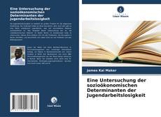 Copertina di Eine Untersuchung der sozioökonomischen Determinanten der Jugendarbeitslosigkeit