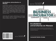 Copertina di Incubadoras universitarias en Manaos