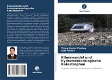 Couverture de Klimawandel und hydrometeorologische Katastrophen