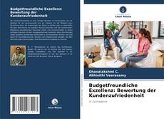 Budgetfreundliche Exzellenz: Bewertung der Kundenzufriedenheit的封面