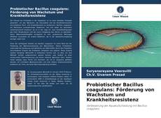 Copertina di Probiotischer Bacillus coagulans: Förderung von Wachstum und Krankheitsresistenz