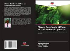 Bookcover of Plante Boerhavia diffusa et traitement du panaris