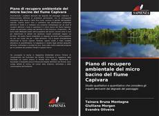 Copertina di Piano di recupero ambientale del micro bacino del fiume Capivara