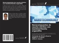 Nanocompuestos de caucho nitrílico con montmorillonita organófila的封面