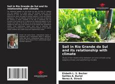 Soil in Rio Grande do Sul and its relationship with climate的封面