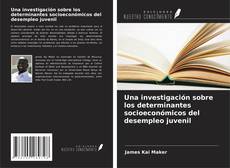 Buchcover von Una investigación sobre los determinantes socioeconómicos del desempleo juvenil