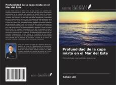 Buchcover von Profundidad de la capa mixta en el Mar del Este