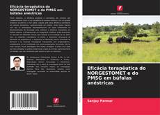 Couverture de Eficácia terapêutica do NORGESTOMET e do PMSG em búfalas anéstricas