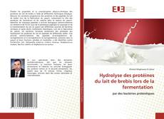Couverture de Hydrolyse des protéines du lait de brebis lors de la fermentation