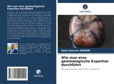 Copertina di Wie man eine gemmologische Expertise durchführt