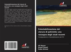 Copertina di Fotostabilizzazione del cloruro di polivinile: una rassegna degli studi recenti