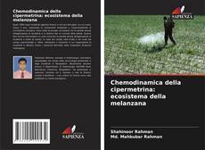 Chemodinamica della cipermetrina: ecosistema della melanzana的封面