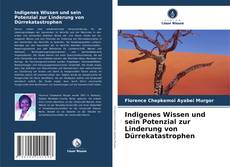 Copertina di Indigenes Wissen und sein Potenzial zur Linderung von Dürrekatastrophen